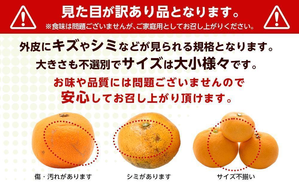 和歌山県産 糖度 9.5度以上 訳あり みかん 7kg 傷み補償+200g 3S ～ 2Lサイズ混合［MG58］