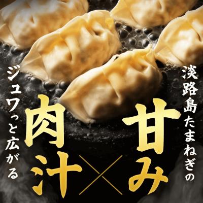 ふるさと納税 淡路市 淡路島たまねぎたっぷりジューシー餃子 100個(20g×20個×5PC)　ai01746 |  | 01
