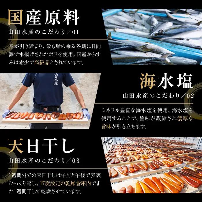 からすみ (1本) 【HX001】【山田水産(株)】