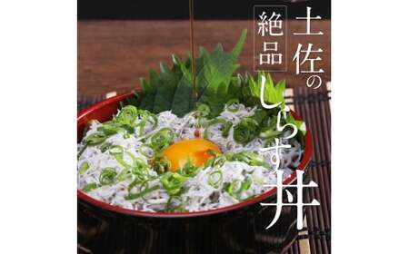 訳あり 釜揚げシラス 1.7kg 高知県産 【しらす】