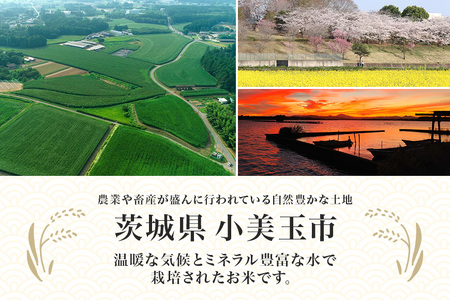 令和5年産米 小美玉産コシヒカリ 10kg こしひかり お米 白米 茨城県 小美玉市 17-K