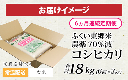 【先行予約】【定期便6ヶ月連続】【玄米】令和7年産 ふくい東郷米 特別栽培米 農薬70％減 コシヒカリ 3kg×6ヶ月 合計18kg [D-020010_02]