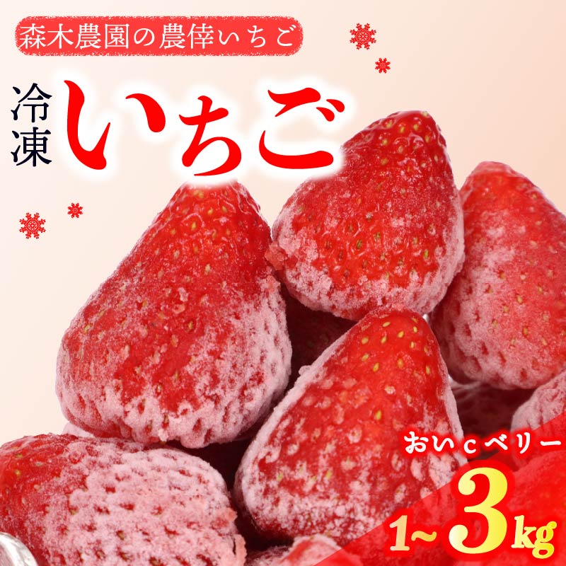 【ふるさと納税】 冷凍 いちご 苺 1~3kg 完熟 おいCベリー ヘタ取り いちご 静岡 限定 苺 冷凍いちご 果物 スイーツ いちご 牧之原市 デザート フルーツ スイーツ アイス ジャム シャーベット ベリー 氷菓 冷凍 甘い オススメ ギフト 人気 牧之原市 森木農園
