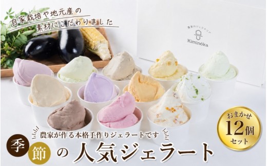 ジェラート セット 12個 1月発送 16000円 / キミノ―カ アイス クリーム スイーツ 野菜 果物【kmk105-jan-12】