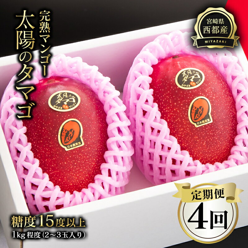【ふるさと納税】「定期便」4回お届け 『太陽のタマゴ』2～3玉入り　約1kg　宮崎県西都市産完熟マンゴー【先行予約】2027年発送 最高級ブランド 宮崎完熟マンゴー 果物 フルーツ ＜1-11a＞初競り金額No1