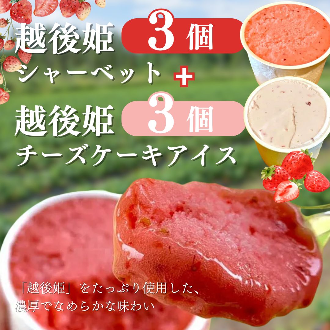 【ふるさと納税】越後姫アイスクリームセット(シャーベット3個、チーズケーキアイス3個) アイス イチゴ 苺 シャーベット セット デザート おやつ 上越市 新潟
