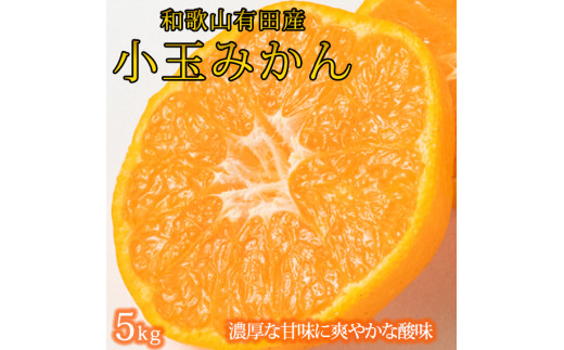 【有田の小粒みかん5kg　(S～3Sサイズ混合) ※2025年11月下旬頃～2026年1月下旬頃に順次発送予定 / みかん ミカン 蜜柑 温州みかん 柑橘 フルーツ 果物 くだもの 和歌山【uot84