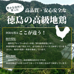 【ふるなびWEEK対象】日本一地鶏 阿波尾鶏　骨つき地鶏のごちそうカレー ５人前セット カレー レトルト 阿波尾鶏 5食入り AWAODORI LAB