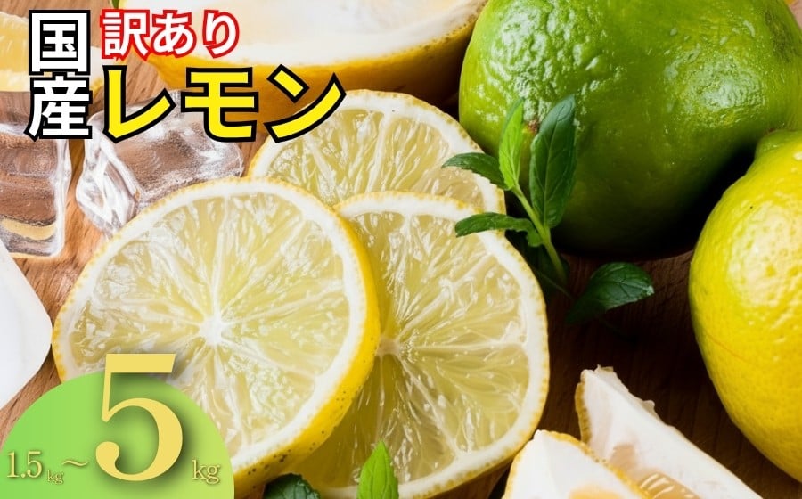 
                  レモン 訳あり 1.5kg 3kg 5kg 選べる 容量 傷み補償250g 愛媛 国産 柑橘 フルーツ 産地直送 皮ごと 皮 まで 食べられる ノーワックス 防腐剤 不使用 減農薬 安心 安全 グリーンレモン イエローレモン マイヤーレモン アレンユーレカ りのか 家庭用 業務用 大容量 B級品 不揃い スムージー ジュース レモンサワー 酎ハイ 料理 お菓子 作り 旬 果物 清家ばんかんビレッジ
                
