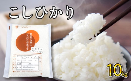 令和8年産コシヒカリ 10kg セレスきくち