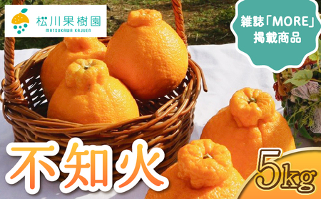 先行予約 不知火 約5kg 約15〜20玉 雑誌MORE掲載 松川果樹園 2027年3月上旬-4月下旬発送予定