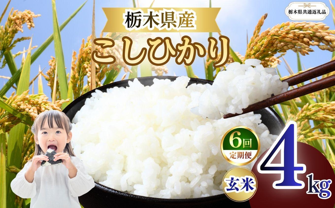 【定期便6回】栃木県産 こしひかり 玄米 4kg 2026年 先行予約 | 栃木県 矢板市