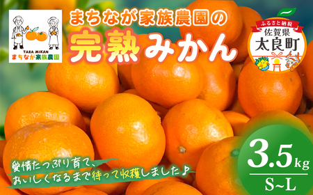 まちなが家族農園の完熟みかん 3.5kg みかん ミカン 蜜柑 たらみかん 太良みかん 温州みかん 完熟みかん 甘熟 柑橘 国産 佐賀県産 太良町 こだわり 産地直送 贈答品 詰め合わせ 極甘 M118x1 【2026年10月下旬～2027年1月下旬発送予定】