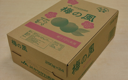 【定期便3ヶ月】梅の風（清涼飲料水）　290ml×24本入り【 神奈川県 山北町 】