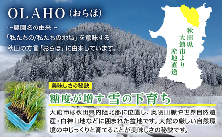 【OLAHO】白玉王にんにく 1kg 35P3207【OLAHO】
