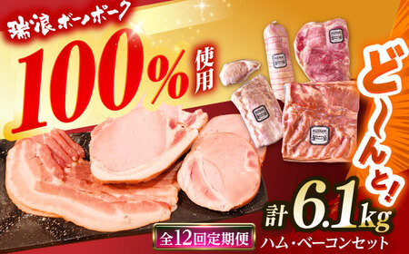 【12回定期便】 ハム・ベーコン ブロック セット 瑞浪ボーノポーク 6.1kg (冷凍) 瑞浪市 / きなぁた瑞浪 詰め合わせ ギフト[AZCI115]