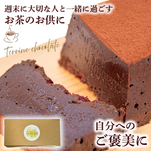 【先行予約】 テリーヌショコラ 2本 テリーヌショコラ