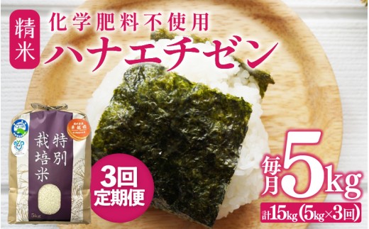 【先行予約】【令和8年産】【定期便3回】≪3ヶ月連続お届け≫ 化学肥料不使用 ハナエチゼン 精米 5kg × 3回（合計15kg）※2026年9月上旬より順次発送予定  [aw010-c022]