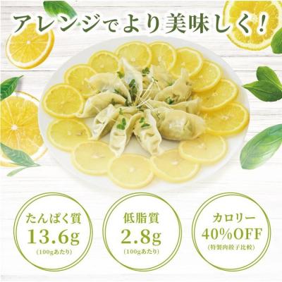ふるさと納税 名古屋市 【プレーン】チキンとブロッコリーのヘルシーギョウザ　48個 |  | 01