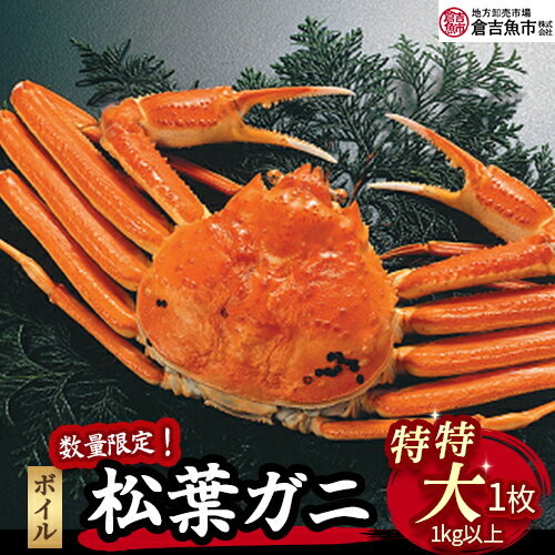 【ふるさと納税】【倉吉魚市】ボイル 松葉がに （特特大）1kg以上 数量限定品 松葉ガニ 松葉蟹 ずわいがに カニ かに 蟹 かにしゃぶ 鳥取県