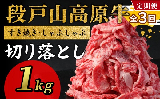 【３回 定期便】 段戸山高原牛 切り落とし 1kg (200g×5）牛肉 肉 国産牛 焼肉 すき焼き しゃぶしゃぶ 不揃い 冷凍 愛知県 設楽町 国産 牛肉 牛 スライス 小分け 大満足 赤身 数量限定 牛肉切り落とし 牛切り落とし sukiyaki niku 蓬莱泉 牛丼 牛 定期便 幻の牛 ブランド牛 -230