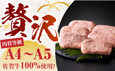 ハンバーグ ＜プレミアム＞150g×10個 HCS103 ハンバーグ