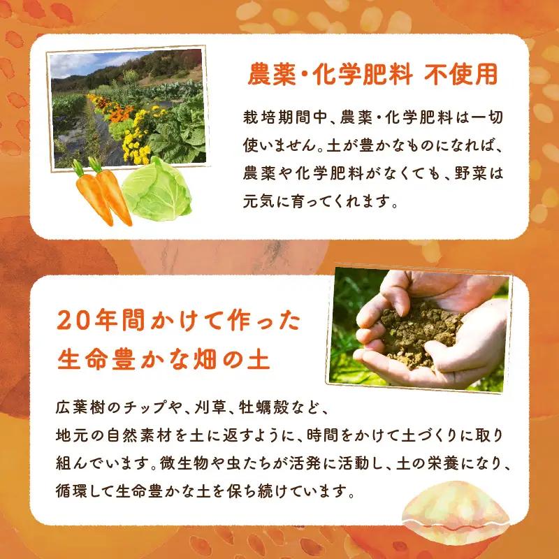 自然栽培ホクホクジャガイモ2.5㎏｜ジャガイモ