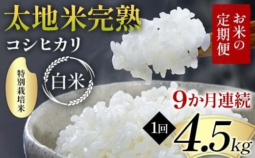 【先行予約】お米の定期便 特別栽培米 太地米完熟 【こしひかり】 白米4.5kg×9か月連続 ブランド米 お米 精米 白米 人気 F7X-0702