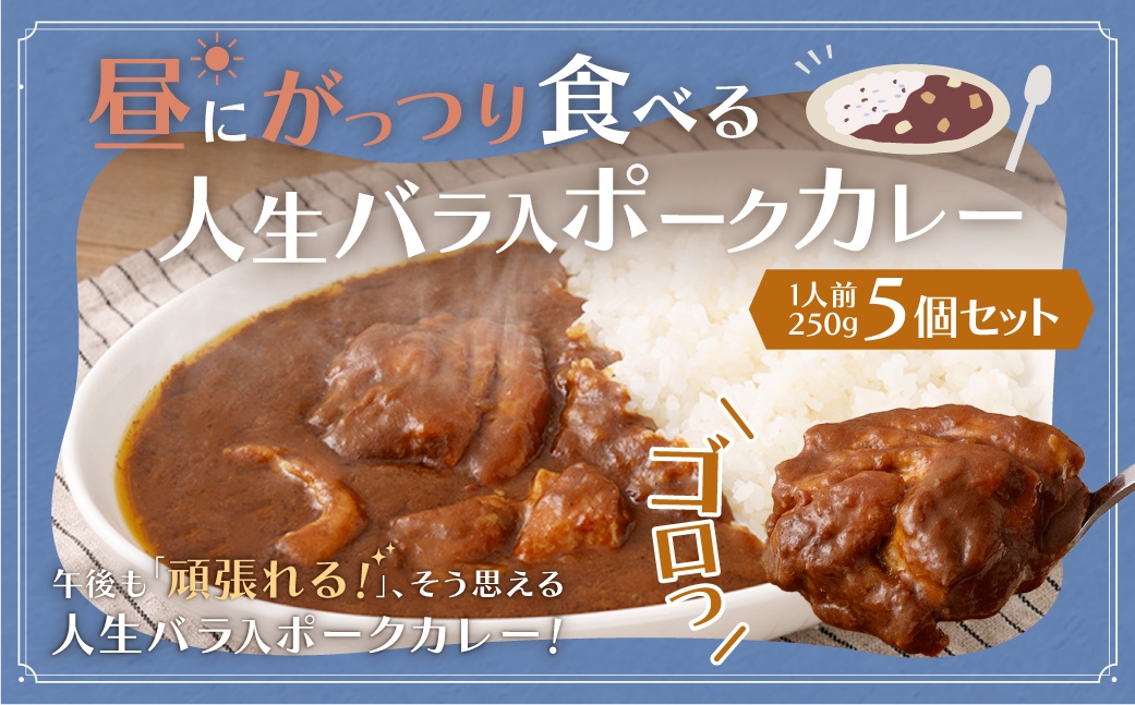 
                  昼にがっつり食べる人生バラ入ポークカレー 250g （ 5個セット ） 計1,250g カレーライス カレー ポークカレー 豚バラ肉 バラ肉 豚肉 豚 お肉 肉 ニク にく ポーク レトルト
                