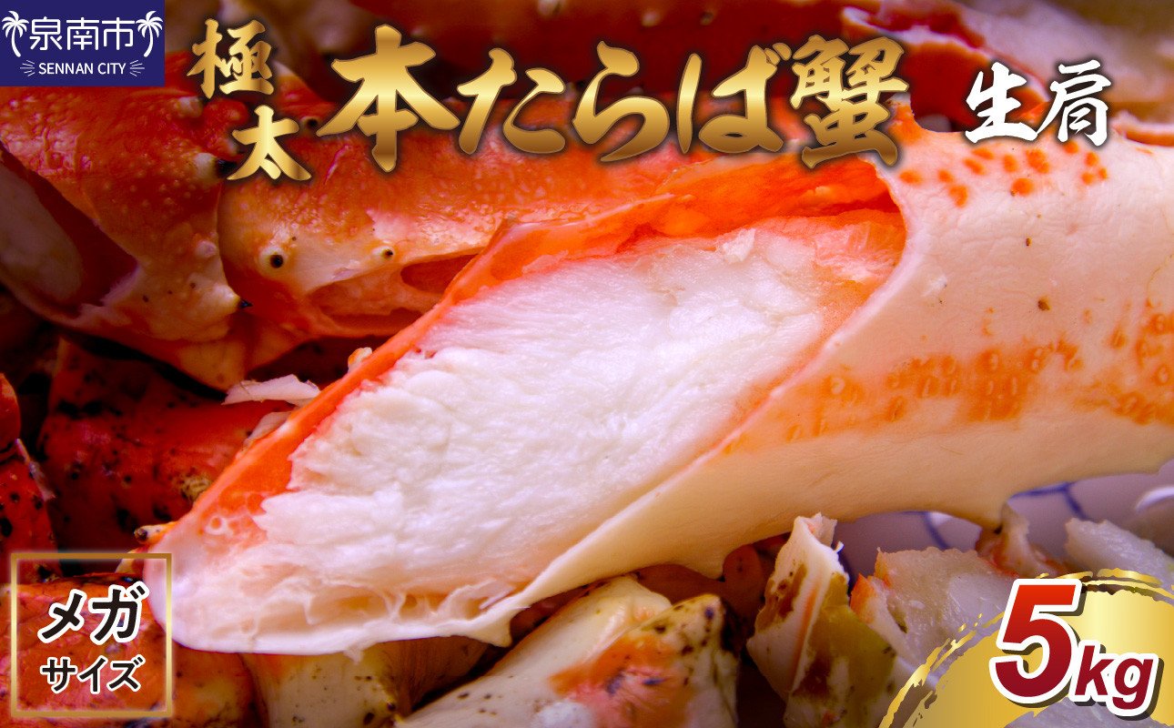
            【2肩5kgの超極太10L以上メガサイズ】本たらば蟹 生肩 5kg 1肩 約2.5kg 本タラバ シュリンク 生 蟹の丸山 たらば蟹 生【087A-001】
          