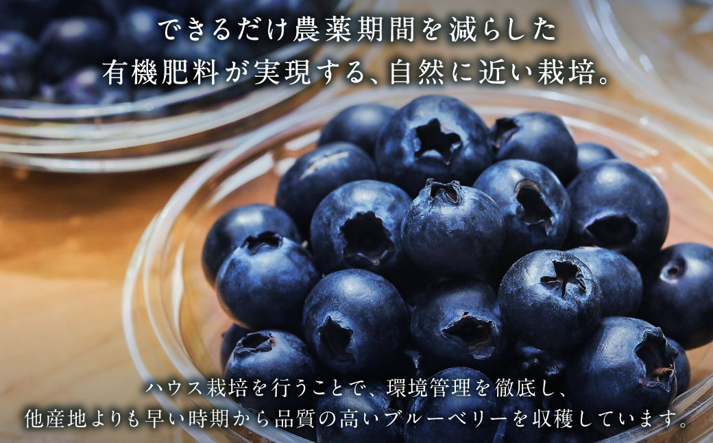 生ブルーベリー 計約400g（約100g×4パック）｜ ブルーベリー 果物 フルーツ 静岡県 菊川市