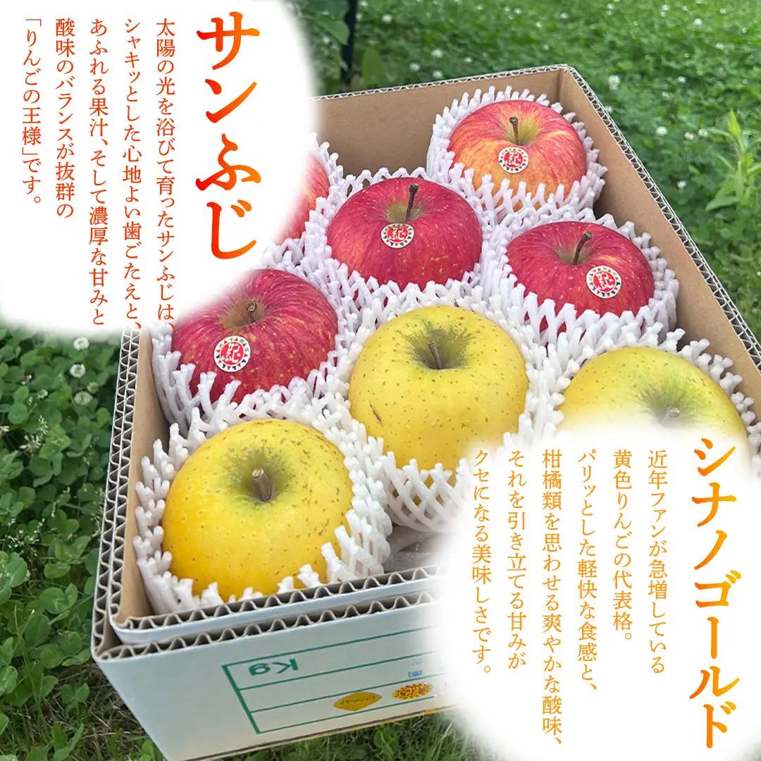 フルーツ 定期便【年2回】計 5kg（各約2.5kg） (FB001)