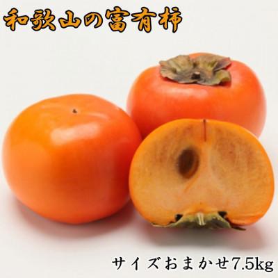 ふるさと納税 那智勝浦町 和歌山産富有柿 約7.5kg サイズおまかせ(那智勝浦町)