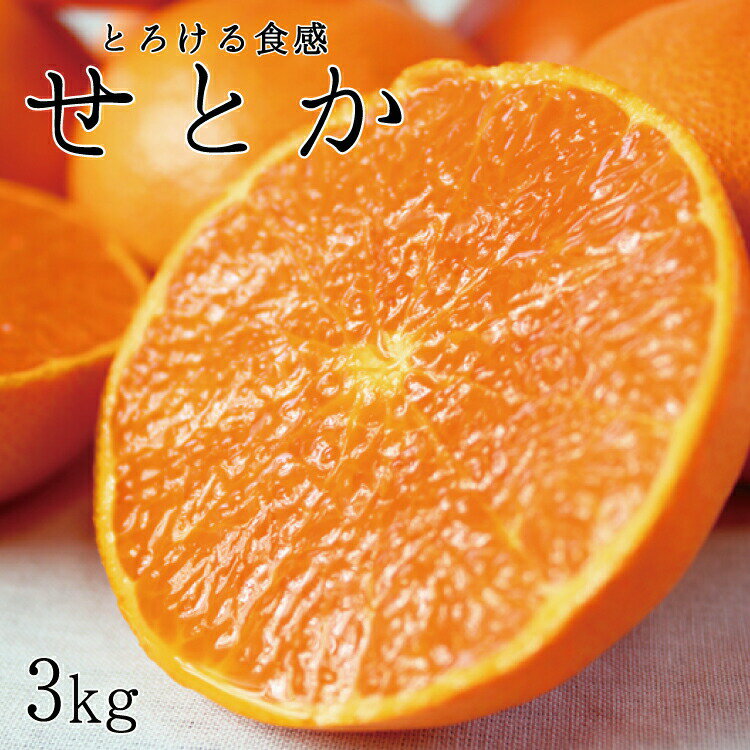 【ふるさと納税】とろける食感！ジューシー柑橘　せとか　約3kg ※2026年2月下旬頃〜2026年3月下旬頃発送予定(お届け日指定不可) / みかん くだもの 果物 フルーツ 柑橘 オレンジ 和歌山 ありだみかん
