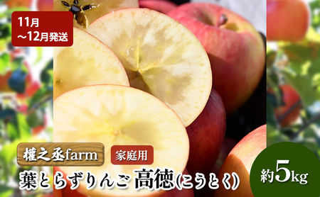 【11月～12月発送】權之丞farm 葉とらずりんご 高徳 (こうとく) 家庭用 約5kg【弘前市産・青森りんご】