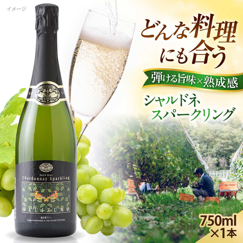 【ふるさと納税】シャルドネ 奥出雲葡萄園 シャルドネスパークリング 国産 ワイン セット 島根県雲南市/有限会社奥出雲葡萄園[AICS058] 白ワイン 熟成 日本ワイン 国産ワイン 島根ワイン ぶどう ブドウ 葡萄 お酒 アルコール ワインセット 人気 おすすめ
