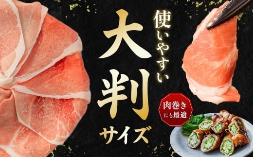 家計応援!国産 豚肉 計3kg!(300g×10P) 豚 切り落とし 小分けで便利【配送不可地域：離島】