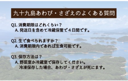 【レビュー★5.0】九十九島  活あわび800g･さざえ800g セット 生食可！【総計1.6kg】【つくも】 あわび 九十九島あわび 活あわび 人気あわび 高評価あわび あわびおすすめ 贈答あわび 