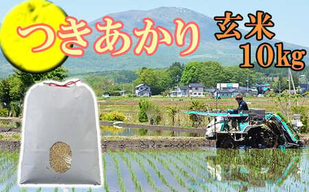 【令和7年産】 つきあかり 玄米 10kg ／ かきのうえ こめ 米 コメ お米 おこめ ご飯 ごはん げんまい おにぎり お弁当 仕送り お取り寄せ 産地直送 単一原料米 国産 国産米 東北 岩手県産 八幡平市産 おすすめ