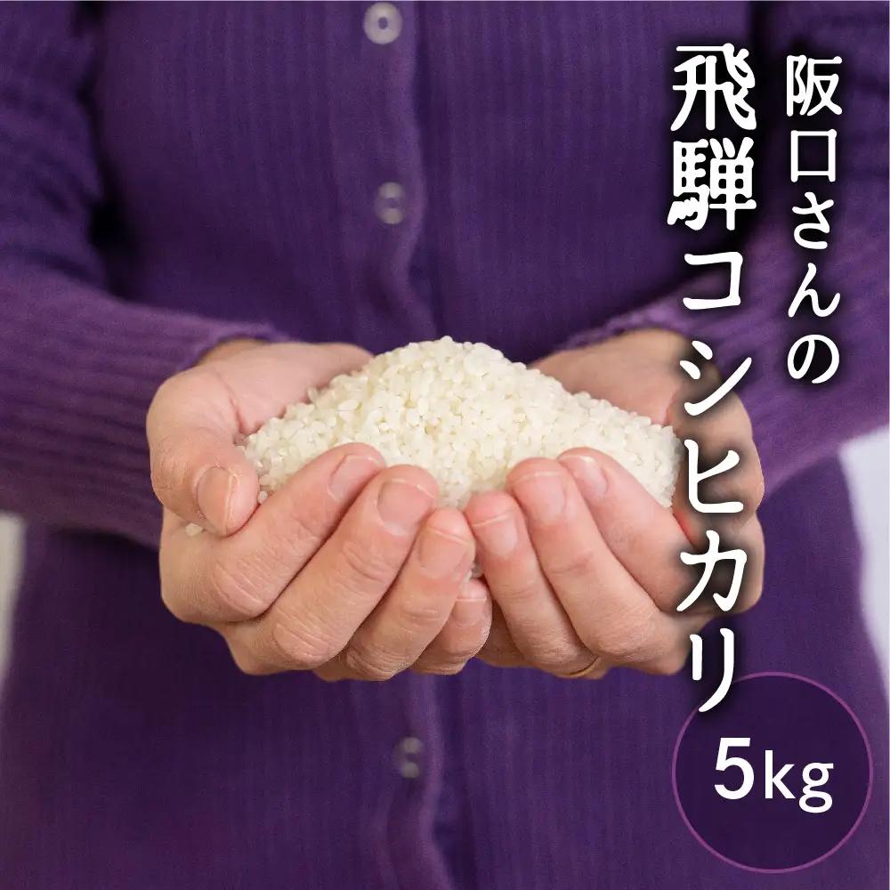 《先行予約》特別栽培米 コシヒカリ5kg 米 / こしひかり 米 阪口農園 米 5キロ