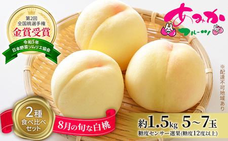白桃 8月 食べ比べ セット 2種 糖度12度以上 白桃 【約1.5kg5～7玉】【先行予約】