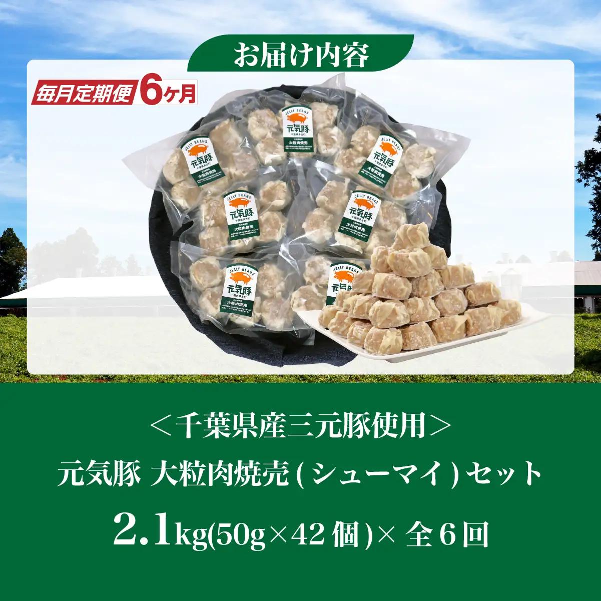 【毎月定期便】元気豚 大粒肉焼売セット 42個セット(計2.1kg)全6回_惣菜・加工品 シュウマイ    定期便 定期便  _【配送不可地域：離島・沖縄県】 TAKB064