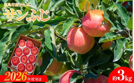 No.2357 共同有限会社　りんご「サンふじ」約3kg【2026年度発送】