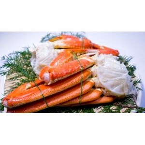 ボイルズワイ蟹 2肩 800g | 蟹[2921]