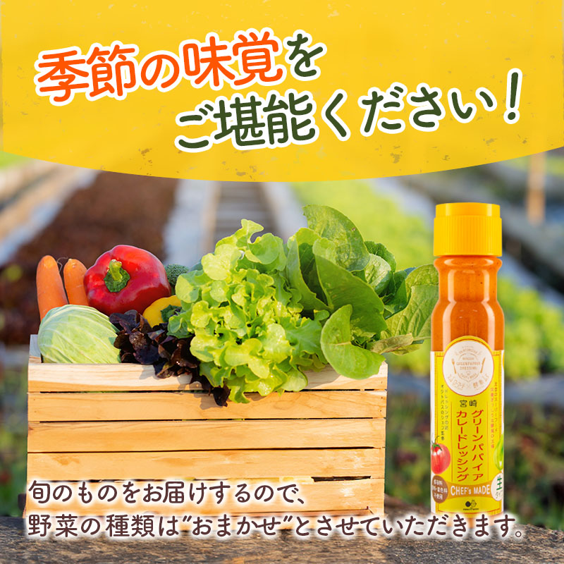 産地直送！旬の野菜（5～8種類）＆ドレッシング セット お試し おまかせ 詰合せ 宮崎県新富町産【B643】_イメージ5