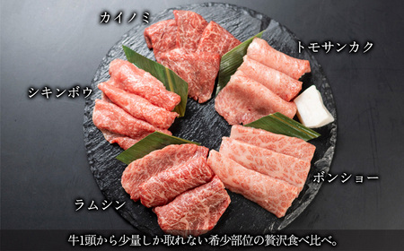 【数量限定】飛騨牛 希少部位5種 焼肉盛り合わせ 各100g  計500g (ラムシン、ボンショー、カイノミ、トモサンカク、シキンボウ) 牛肉 ブランド牛 国産 贈答 ギフト【冷凍】牛肉 肉 和牛 赤