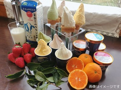 0014-01-10　富士ミルクランド　スイーツセット（ジェラート、ロールケーキ）