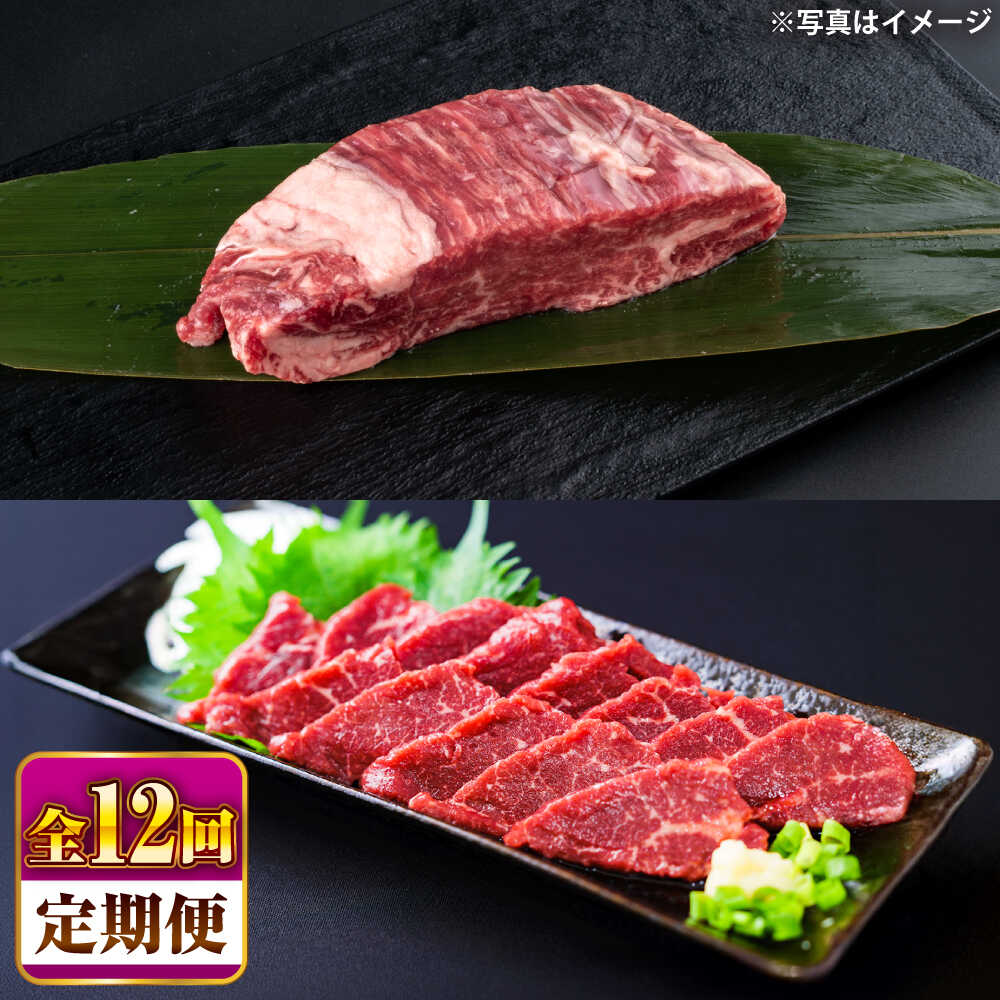 【ふるさと納税】【全12回定期便】 あか牛 ステーキ用ヒレ肉(約800g)、馬刺し(約200g)セット 計約1kg / 牛肉 セット 国産 熊本県産 食べ比べ ヒレ ステーキ バサシ 馬刺し 赤牛 冷凍 お土産 豪華 贅沢 niku 熊本県 菊陽町 200g 800g　【合同会社 たべたせいか】[BHBY019]