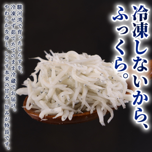 【国産 釜揚げしらす】釜揚げしらす 3パック  マルカ名波 静岡県 牧之原市