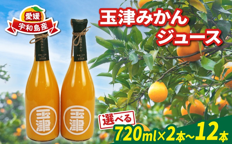 
            玉津 みかんジュース 温州みかん 選べる 容量 720ml× 2 ~ 12本 玉津柑橘倶楽部 先行予約 100％ジュース ストレートジュース ジュース 愛媛みかん 愛媛蜜柑 愛媛ミカン うんしゅう みかん mikan 果物 フルーツ 柑橘 濃厚 甘い 甘味 蜜柑 産地直送 数量限定 国産 愛媛 愛媛県産 宇和島 
          